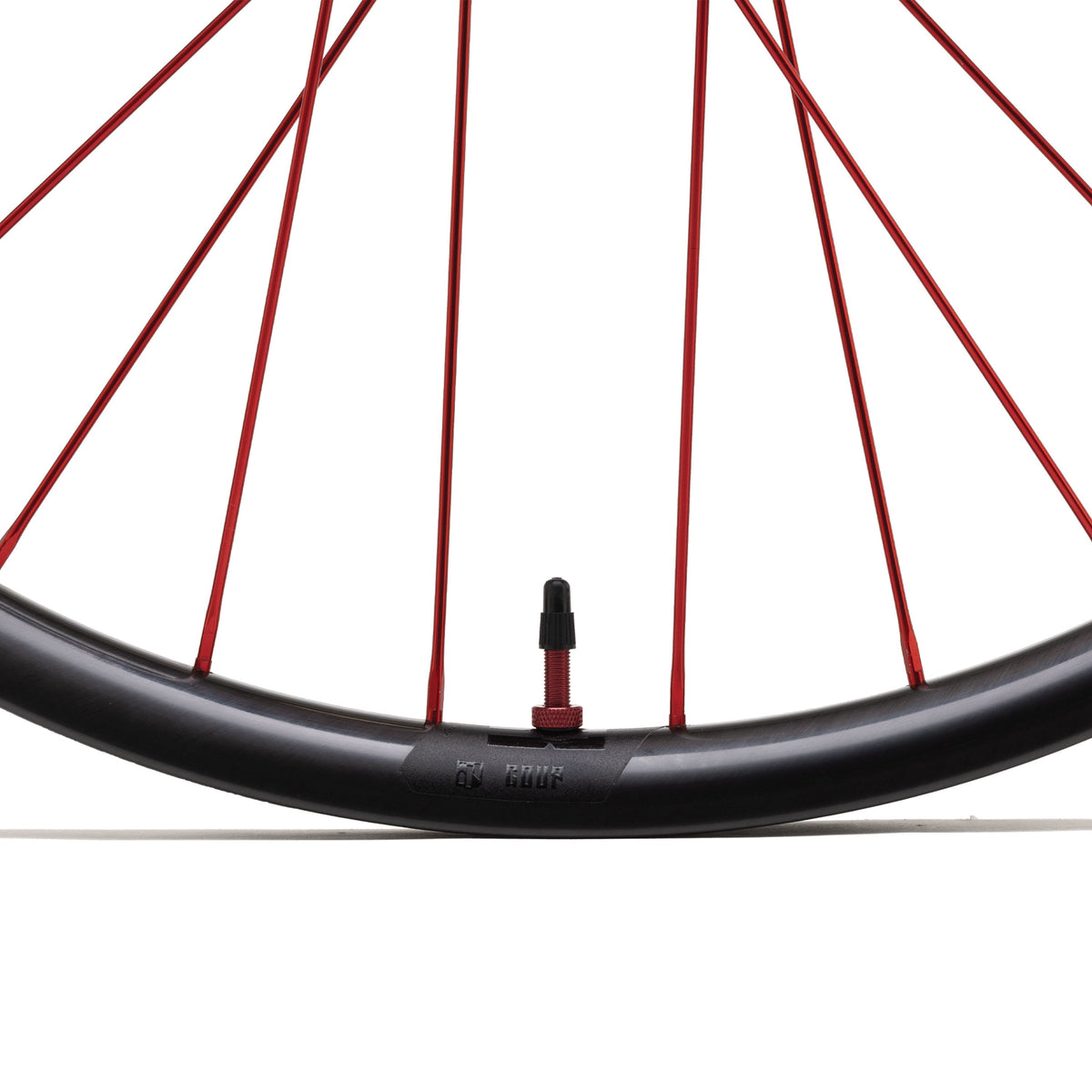 Coup Carbon Felge Decal und Nippel Detail