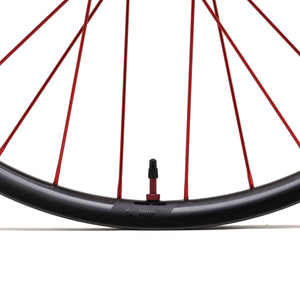 Coup Carbon Felge Decal und Nippel Detail